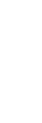 注目その1