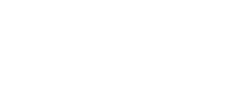 注目その4